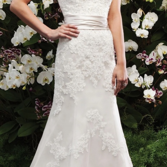 Wedding Dress - Picture 4 of 6